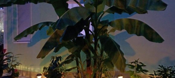 Adosado de 3 dormitorios en Neckar-Odenwald-Kreis, Germany No. 270896 4