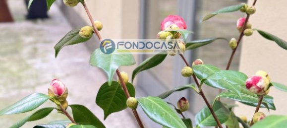 استوديو في Milan, Italy رقم 246339 17