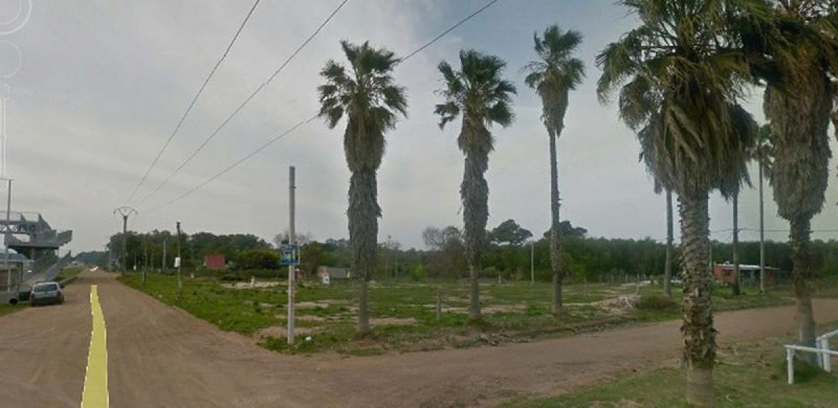  قطعة أرض في Maldonado, Uruguay رقم 14059