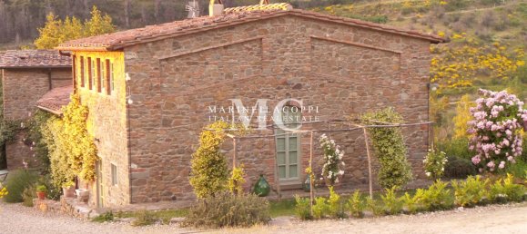 10 bedrooms Hotel in Figline e Incisa Valdarno, Italy No. 192479 30