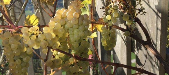 6-Zimmer Haus in Hainzenberg, Austria, Nr. 149372 12