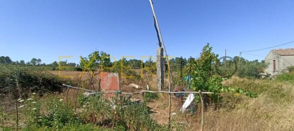 6 bedrooms House in Pinhel, Portugal No. 15580 9