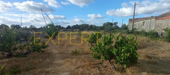 6 bedrooms House in Pinhel, Portugal No. 15580 10