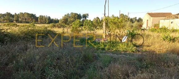 6 bedrooms House in Pinhel, Portugal No. 15580 11