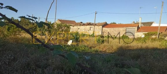 6 bedrooms House in Pinhel, Portugal No. 15580 12