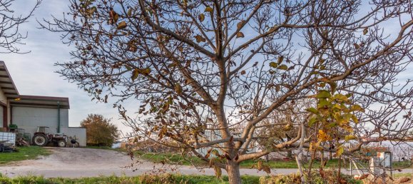 Земельный участок в Гольс, Австрия № 243268 4