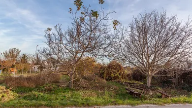 Земельный участок в Гольс, Австрия № 243268