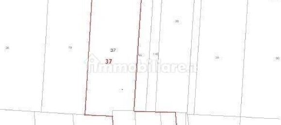 29040m² Land in Montebelluna, Italy No. 265285 2