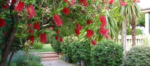 7 rooms Villa in Villanova d'Albenga, Italy No. 108224 6