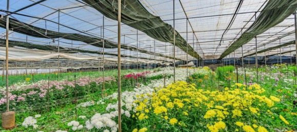 4 غرف نوم فيلا في San Cristobal de La Laguna, Spain رقم 16369 10