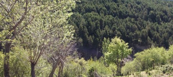  Land in Huesca, Spain No. 68123 6