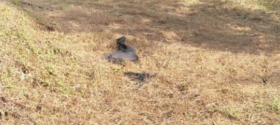  Land in Huesca, Spain No. 68123 14