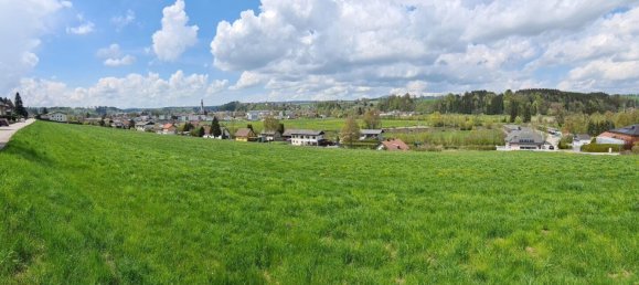  Land in Vocklamarkt, Austria No. 59634 2