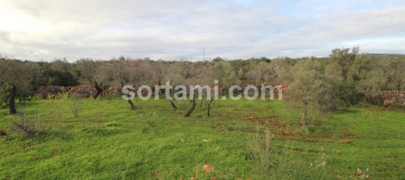 Land in Sao Bartolomeu de Messines, Portugal No. 80186 4