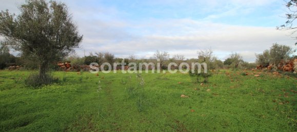 Land in Sao Bartolomeu de Messines, Portugal No. 80186 2