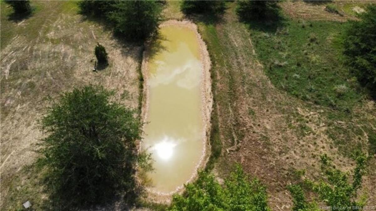  Land in Scottsburg, USA No. 480246