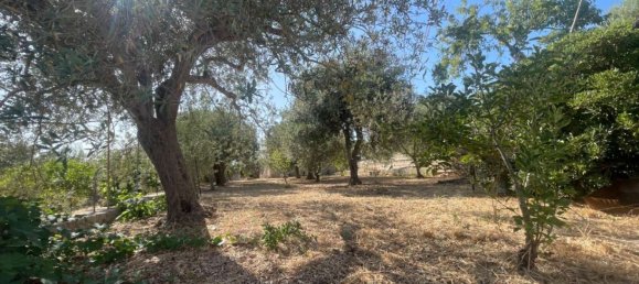 5 rooms Villa in Noto, Italy No. 283199 17