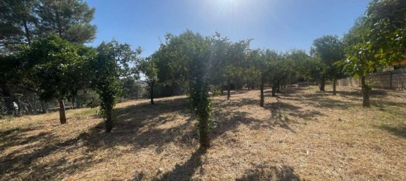 5 rooms Villa in Noto, Italy No. 283199 16