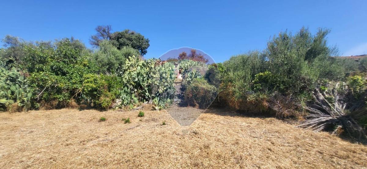 8000m² Land in Paterno, Italy No. 318979