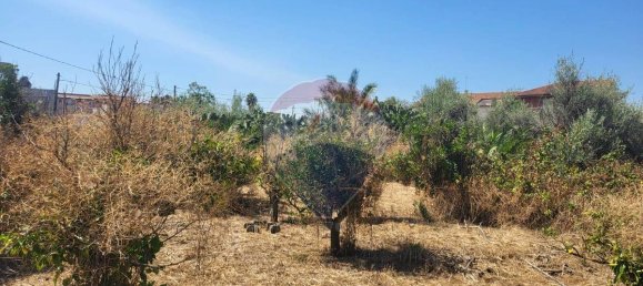 8000m² Land in Paterno, Italy No. 318979 17