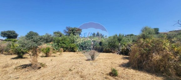 8000m² Land in Paterno, Italy No. 318979 15