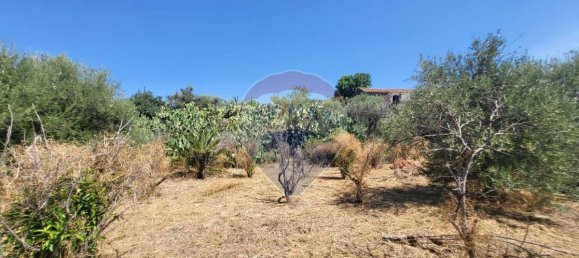 8000m² Land in Paterno, Italy No. 318979 5