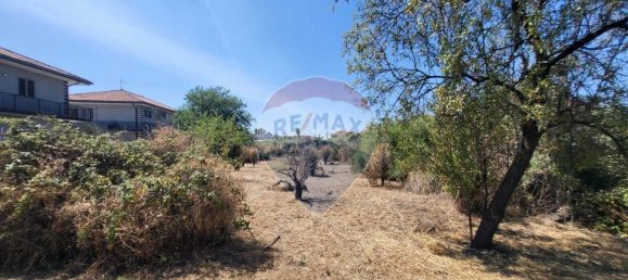 8000m² Land in Paterno, Italy No. 318979 7