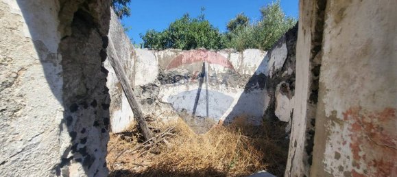 8000m² Land in Paterno, Italy No. 318979 4