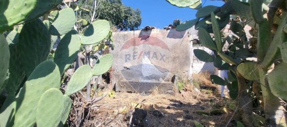 8000m² Land in Paterno, Italy No. 318979 13