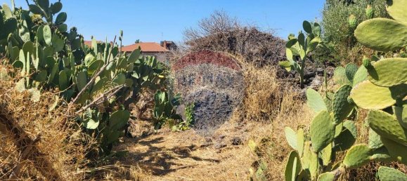 8000m² Land in Paterno, Italy No. 318979 16