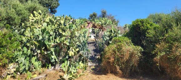 8000m² Land in Paterno, Italy No. 318979 6