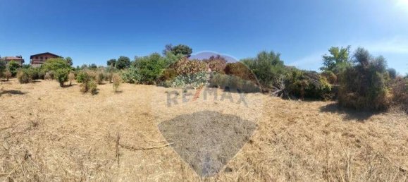 8000m² Land in Paterno, Italy No. 318979 18