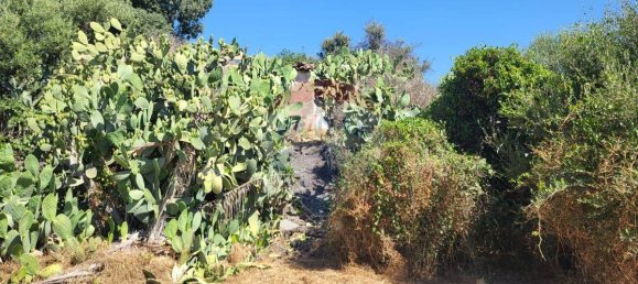 8000m² Land in Paterno, Italy No. 318979 10