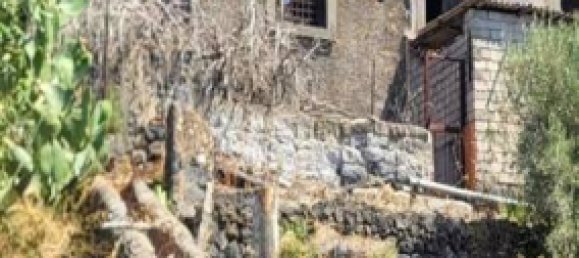 8000m² Land in Paterno, Italy No. 318979 3