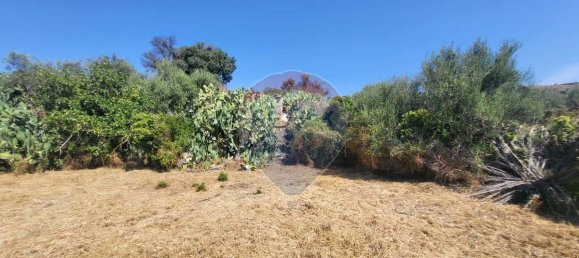 8000m² Land in Paterno, Italy No. 318979 21