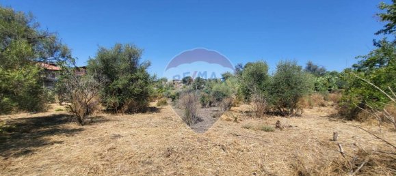 8000m² Land in Paterno, Italy No. 318979 2