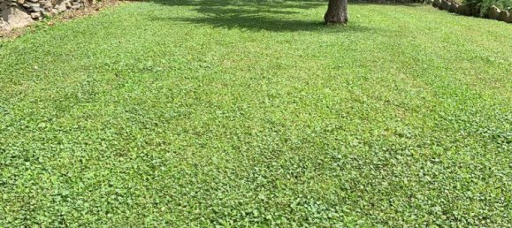 8 bedrooms House in Garlenda, Italy No. 381635 15