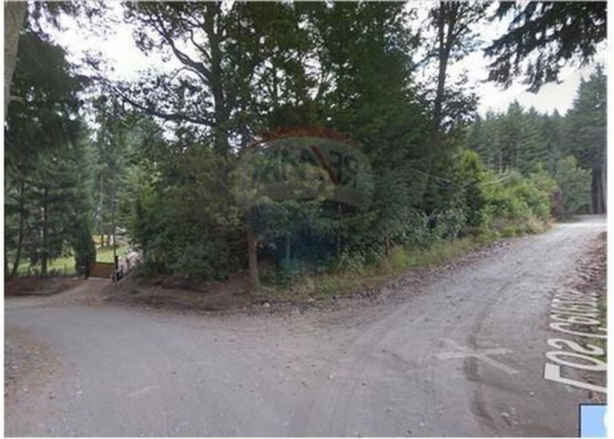  Land in Neuquen, Argentina No. 38590