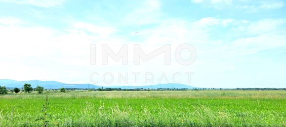 Land in Matzendorf-Holles, Austria No. 137220 5