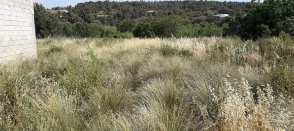 Grundstück in Occitanie, France, Nr. 336705 2