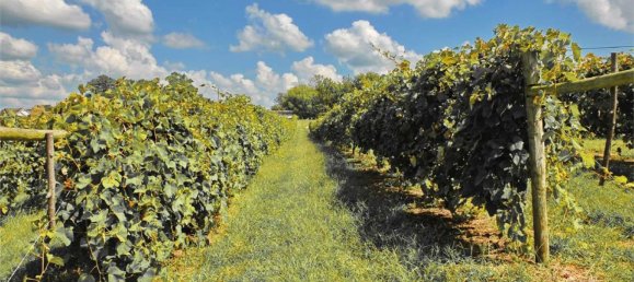 4532m² Land in Assemini, Italy No. 33122 16