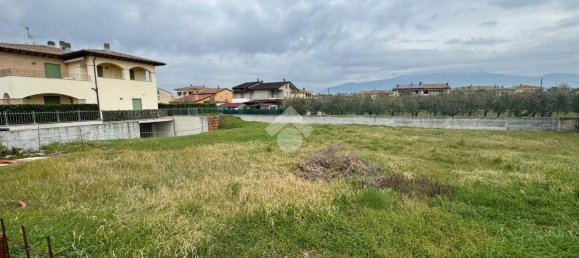 710m² Land in Cannara, Italy No. 153731 5