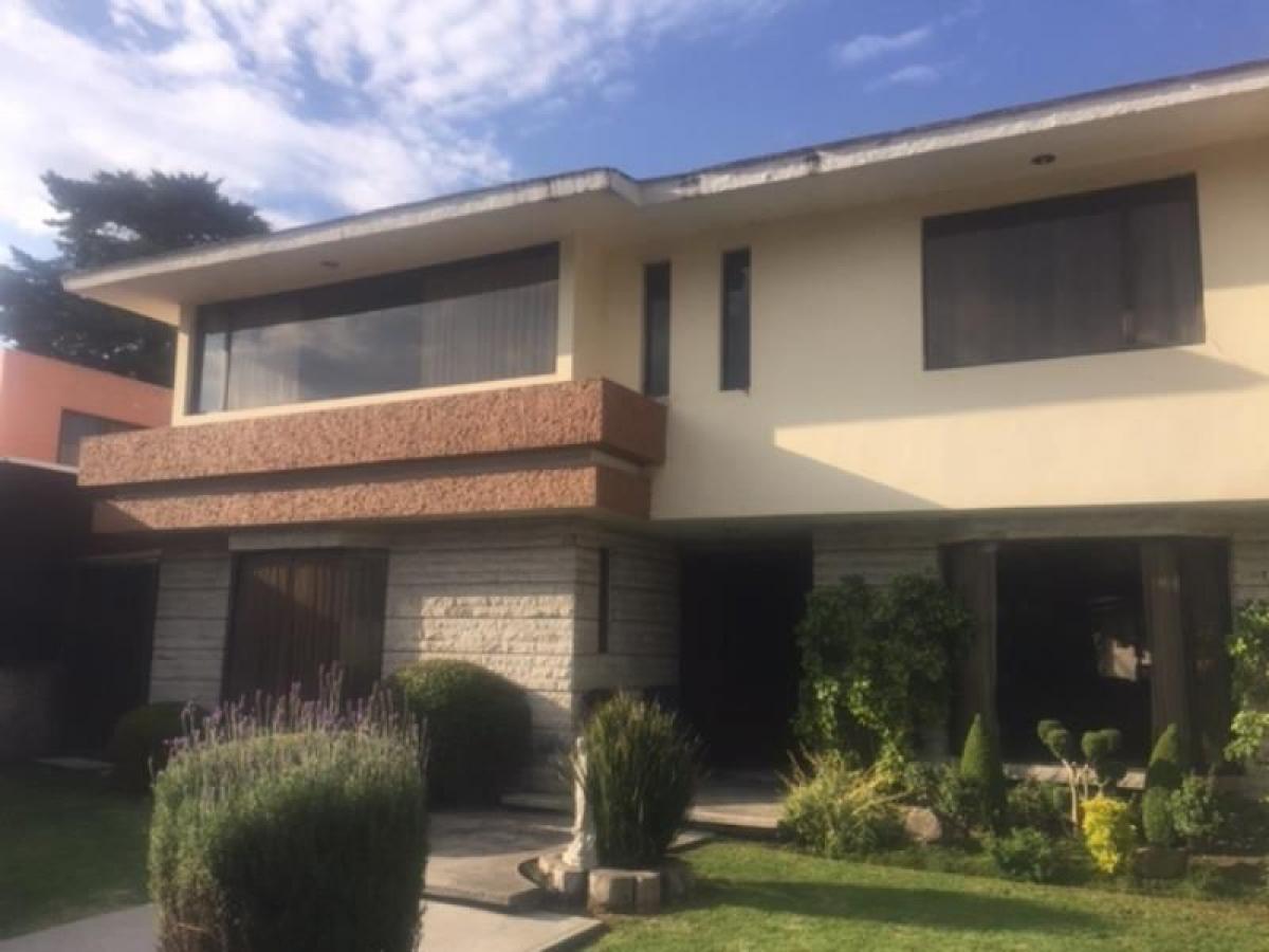 3 غرف نوم منزل في Mexico رقم 223571