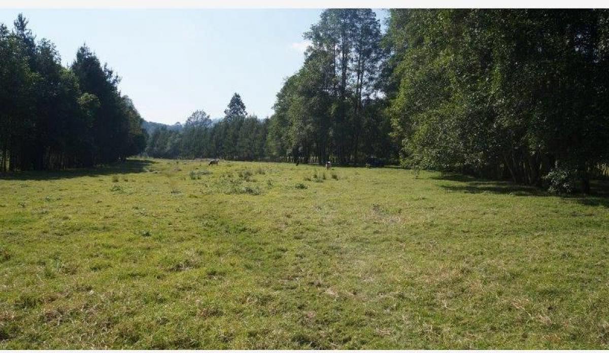 Terreno em Heroica Matamoros, Mexico N.º 206661