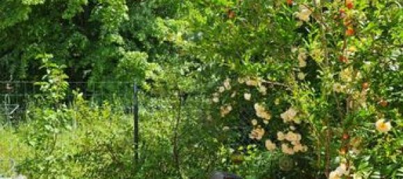 2 bedrooms House in Saint-Maximin-la-Sainte-Baume, France No. 288647 4