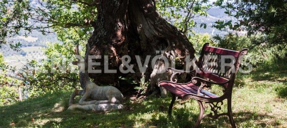 10 rooms House in Castel del Piano, Italy No. 132276 37