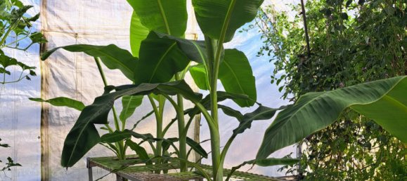 Земельный участок 13м² в Wallu, Австралия № 46 14