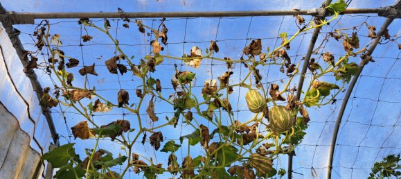 Земельный участок 13м² в Wallu, Австралия № 46 10