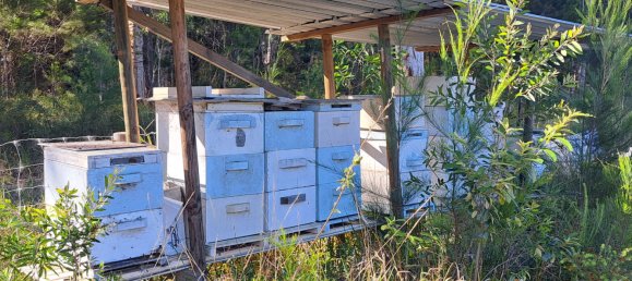 Земельный участок 13м² в Wallu, Австралия № 46 8