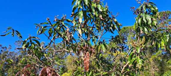 Земельный участок 13м² в Wallu, Австралия № 46 9